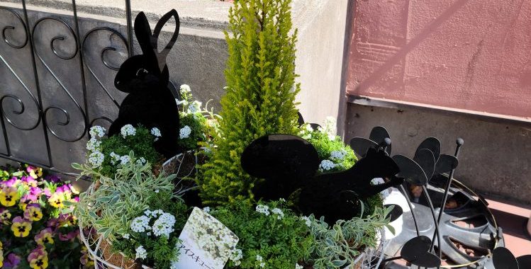 2023年3月の春のガーデニング