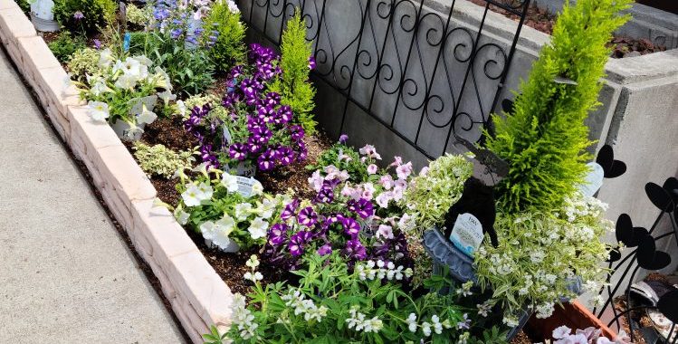 可愛動物病院　夏のガーデニングのお花植え替え