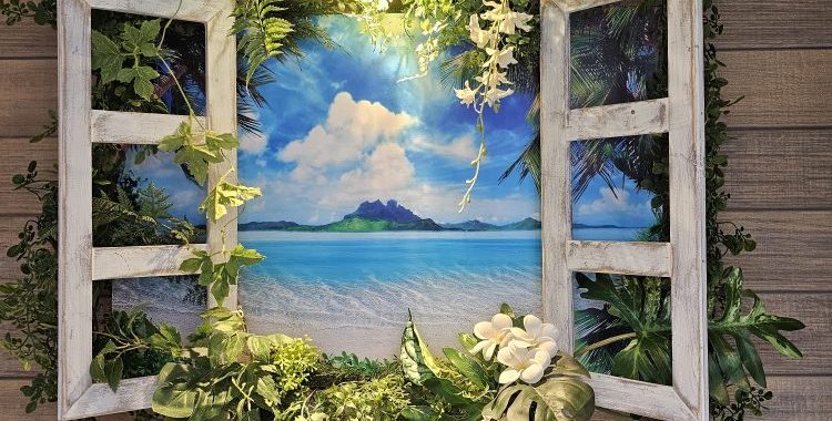 2023年夏のディスプレー