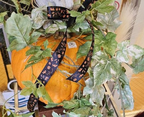 可愛動物病院　2024秋のお花、花壇、ディスプレイ