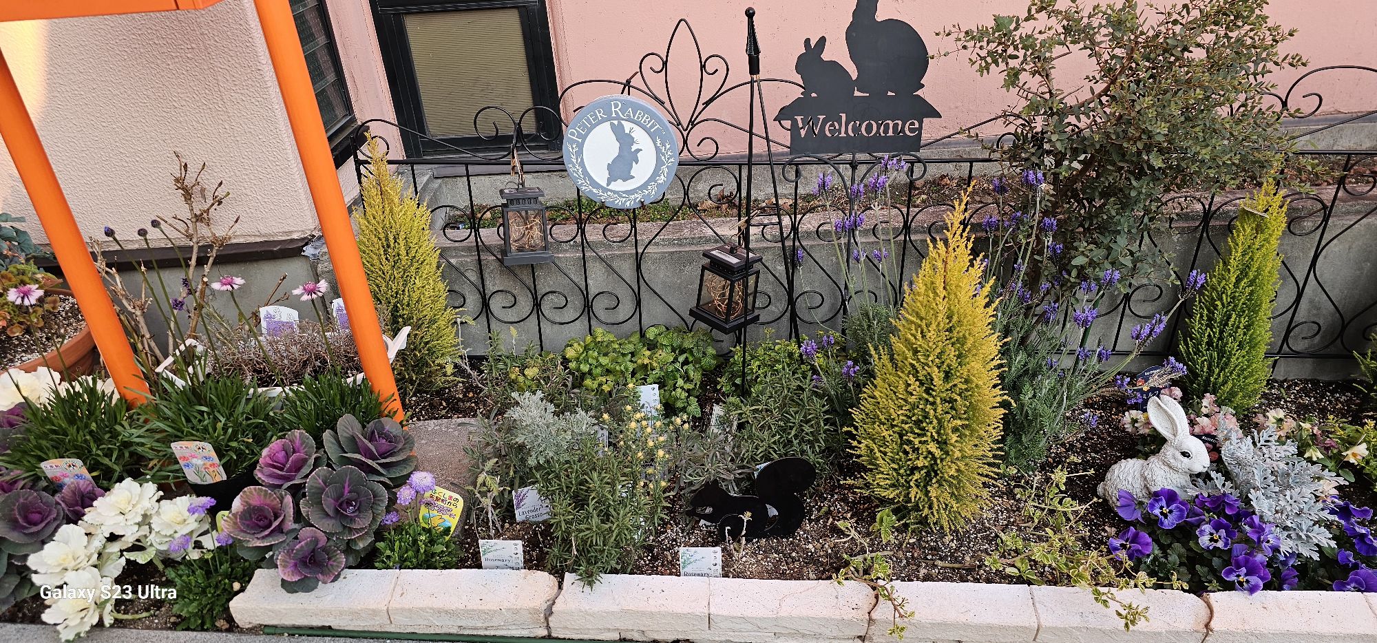 1月ガーデニングメンテナンス